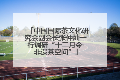 中国国际茶文化研究会副会长张仲灿一行调研“十二月令·非遗茶空间”